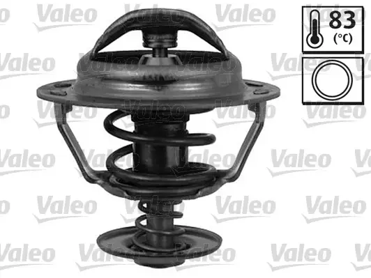 Termostat - (Fiat Scudo, Ducato, Ulysse) - (VALEO-819950)
