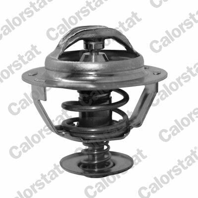 Ateşleme Bobini - (Fiat Ducato, Scudo, Ulysse) - (CALORSTAT-by-Vernet-TH513083J)