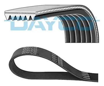 V Kayışı - (Fiat Ulysse) - (DAYCO-6PK1600)